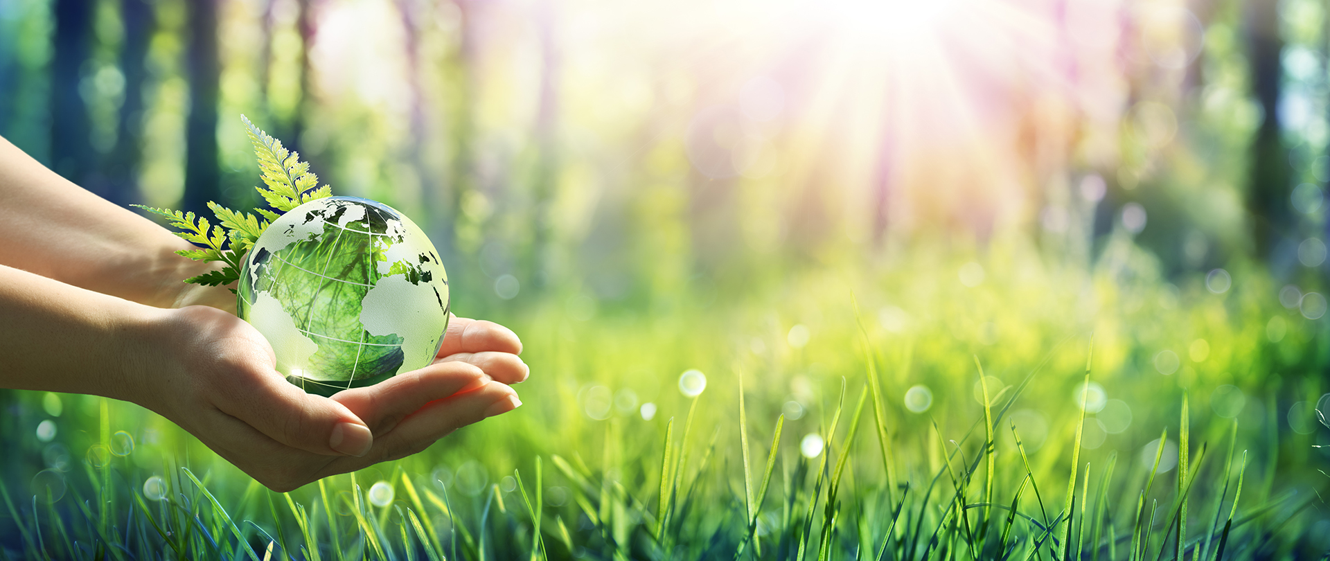 Sustentabilidade Toyobo